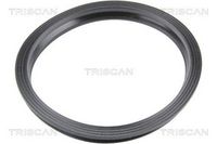 Garnitura, pompa combustibil TRISCAN, Cod: 8900 10038