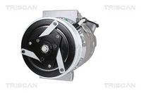 Compresor, climatizare TRISCAN, Cod: 9020 15015