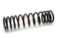 Arc spiral ASHIKA, Cod: ZCA6008E