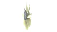 Thumbnail - Koelventilatorwiel - CFF505000P - MAHLE