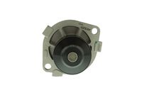 водна помпа, охлаждане на двигателя