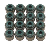 Dichtungssatz, Ventilschaft