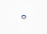 Blīve, Pamatlukturu rāmis