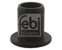 Buchse, Schaltstange