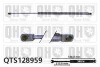 Gasfeder, Koffer-/Laderaum