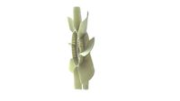 Thumbnail - Koelventilatorwiel - CFW10000P - MAHLE