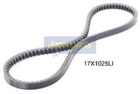Curea transmisie JAPANPARTS, Cod: DT-17X1025LI