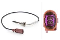 Sensor, Abgastemperatur