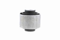 Article Picture