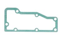Gasket, thermostat housing