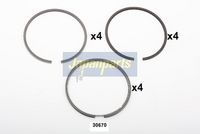 бутален пръстен (сегмент)