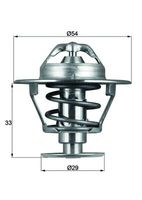Thermostat, Kühlmittel