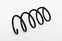 Arc spiral ASAM AUTOMOTIVE, Cod: 73775