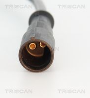 Article Picture