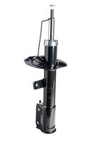 Amortizor DR!VE+, Cod: DP1610.10.0149