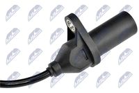 Article Picture