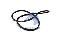 Curea transmisie SAMPA, Cod: 203.291