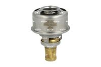 Thermostat, Kühlmittel