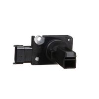 DELPHI Luchtmassameter 7