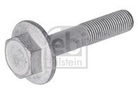 Schraube, Zahnrad-Kurbelwelle