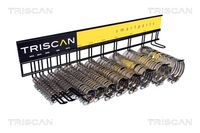 TRISCAN Slangklem 1