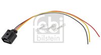 Stecker