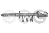 EXCENTRIC BROASCă Ușă