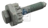 Spannschraube, Generatorhalter