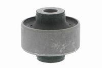 тампон, носач