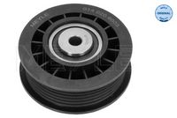 Umlenk-/Führungsrolle, Keilrippenriemen Umlenk-/Führungsrolle, Keilrippenriemen