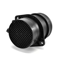 DELPHI Luchtmassameter 5