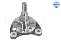 Stub Axle, axle beam