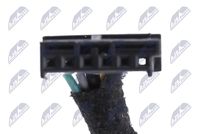 Article Picture