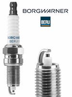 Bujie BorgWarner (BERU), Cod: Z293