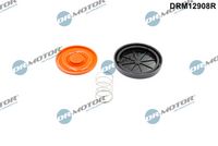 MEMBRANA AERISIRE CARCASA ARBORE COTIT