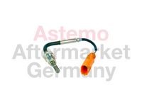Sensor, Abgastemperatur