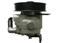 Hydraulikpumpe, Lenkung