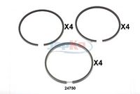 бутален пръстен (сегмент)