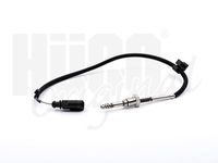 Sensor, Abgastemperatur