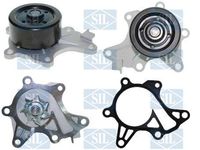 Wasserpumpe, Motorkühlung