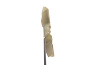Thumbnail - Koelventilatorwiel - CFW62000P - MAHLE