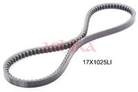Curea transmisie ASHIKA, Cod: 109-17X1025