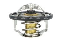 Thermostat, Kühlmittel