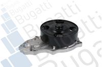 Wasserpumpe, Motorkühlung