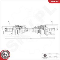 Article Picture