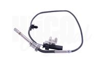 Sensor, Abgastemperatur