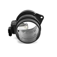 DELPHI Luchtmassameter 8