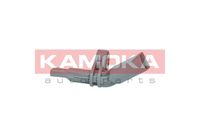 Article Picture