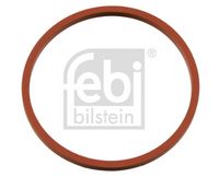 Dichtung, Ansaugkrümmer