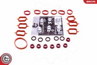 Repair Kit, intake manifold module